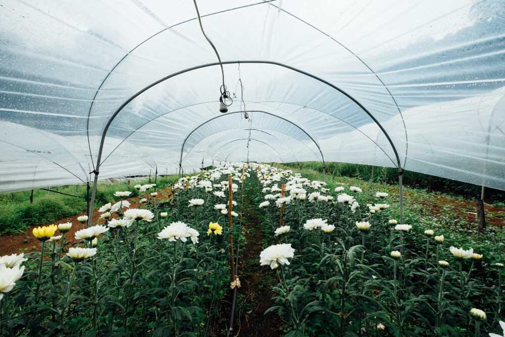 films agricole section new plast