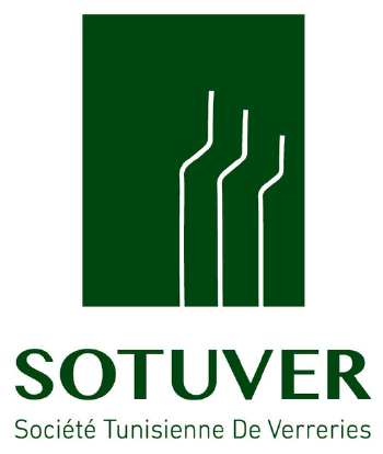 logo_stvr1